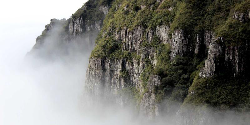 办公室久坐族福音：告别肩颈僵硬与手腕酸痛的芳香指压自救指南
