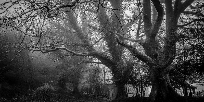 芳香指压27：解锁身心平衡的健康养生新境界