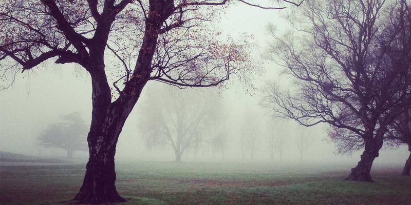 芳香指压5：融合自然香气与穴位疗法的身心平衡之道