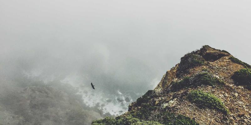 芳香指压入门：融合精油与指压疗法，开启身心深度放松之旅