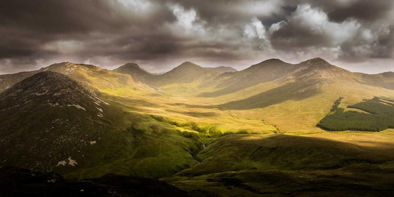 芳香指压全攻略：解锁精油按摩的养生奥秘