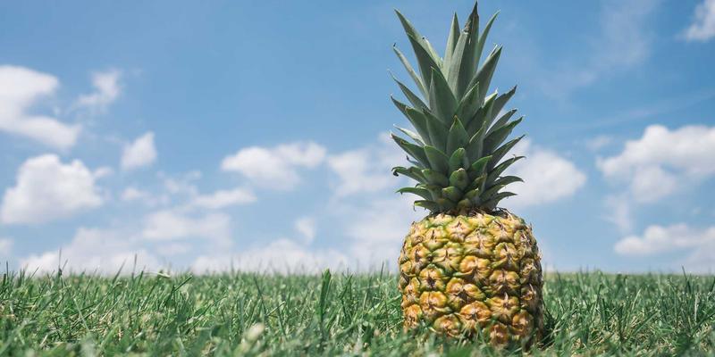 芳香指压技巧:融合指压疗法与植物精油的养生艺术