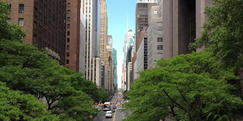 芳香指压结合冥想引导：解锁深度放松与专注力的身心同步疗法