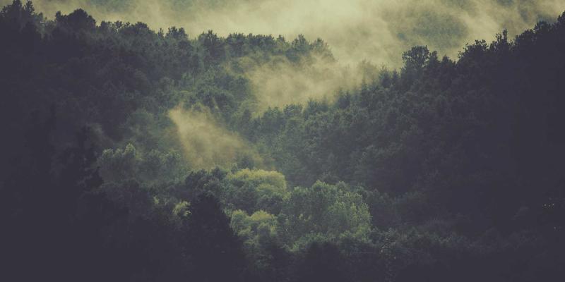 芳香指压结合冥想：每日五分钟高效缓解焦虑，轻松实现放松身心与压力缓解