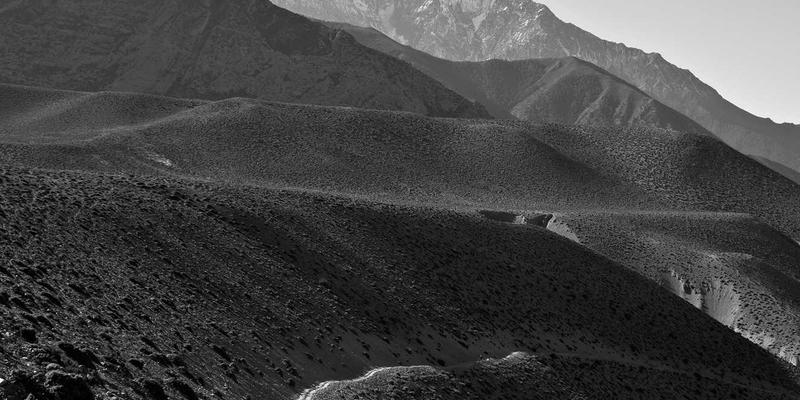 芳香指压:融合自然香气与古老智慧的压力缓解艺术