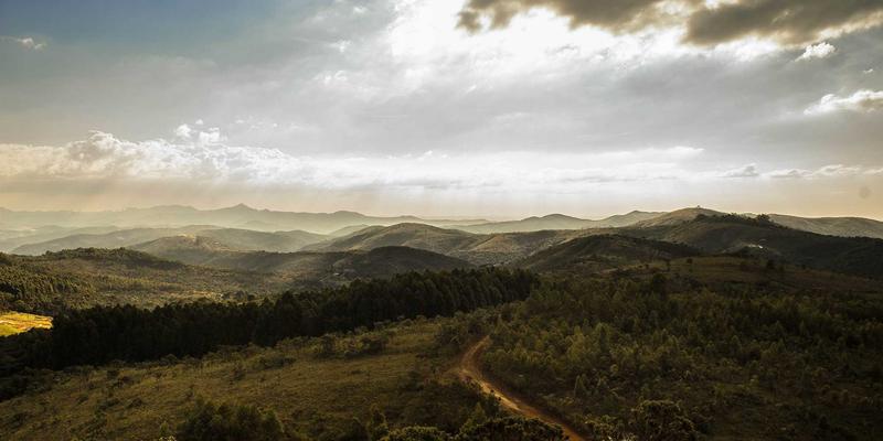 运动后恢复新选择：芳香指压如何缓解肌肉酸痛并加速修复